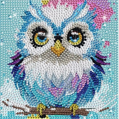 Cute Owl With Frame - 18x18cm