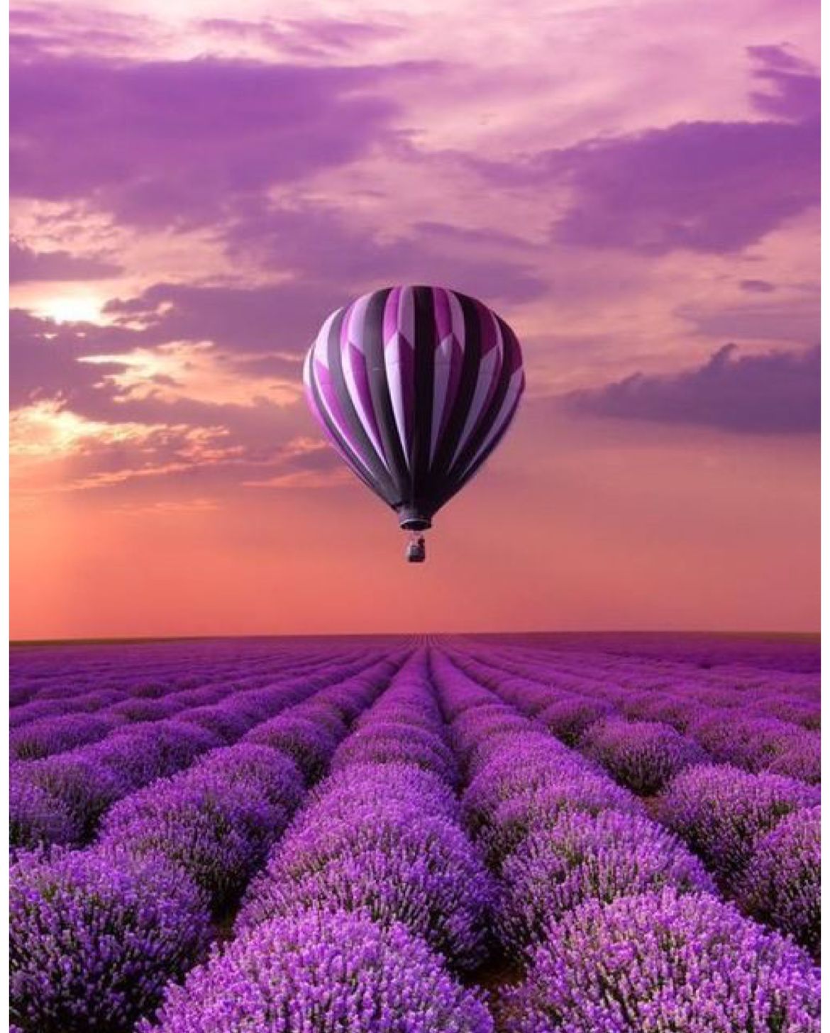 Purple air balloon - 30x40cm
