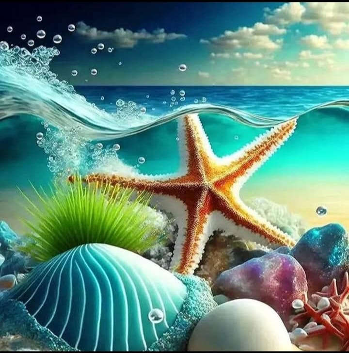 Star Seashell - 40x40cm