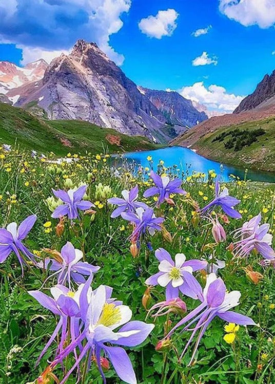 Flower Mountain - 30x40cm