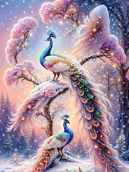 Pink Peacock - 30x40cm